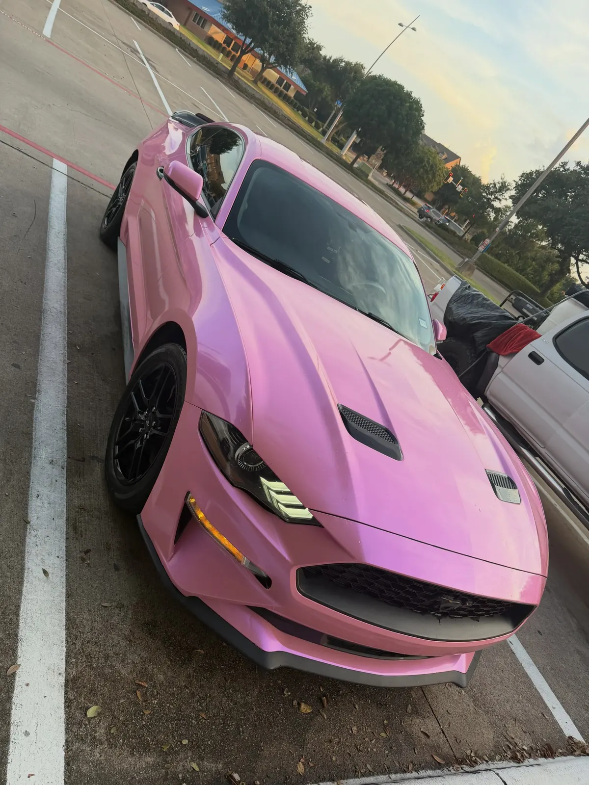 Pink Mustang detailed to a high shine