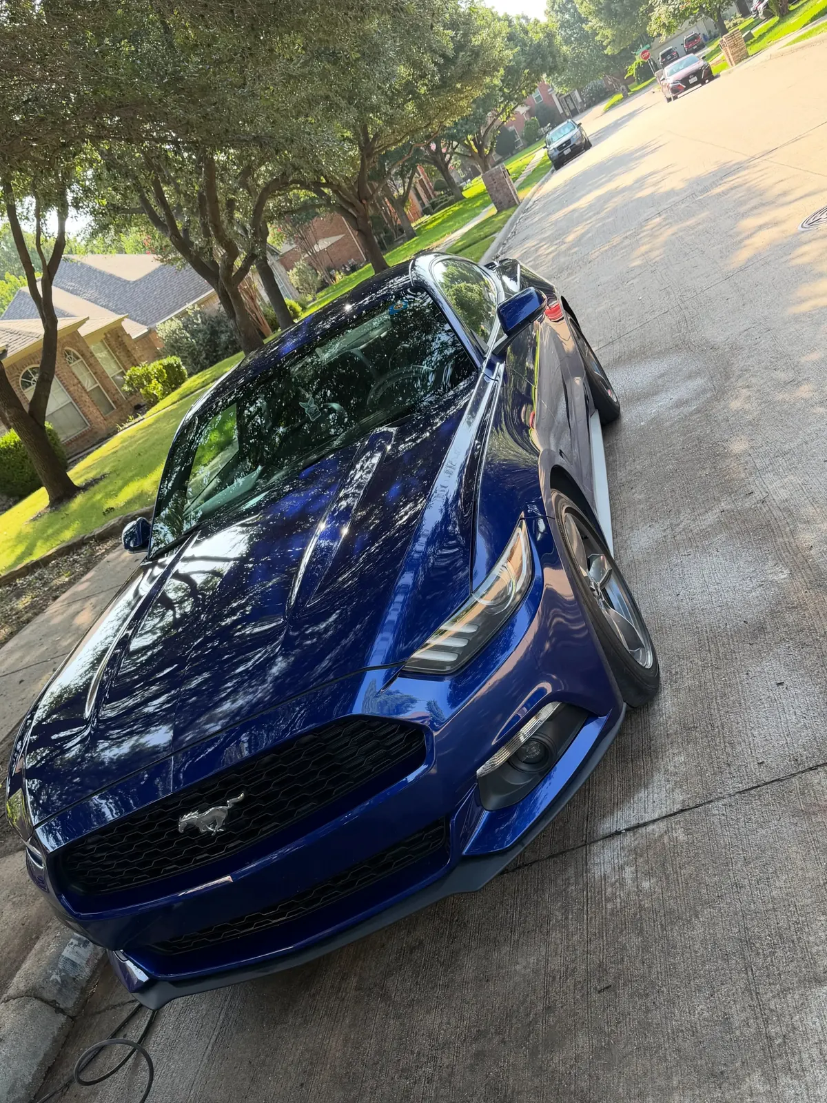 Blue Tesla with a deep gloss finish after detailing